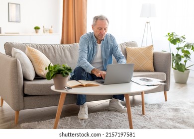 Portrait Of Focused Casual Mature Man Sitting On The Sofa Working On Pc Laptop At Table Indoors In Living Room. Male Using Computer For Remote Job Typing On Keyboard Surfing Internet, Full Body Length