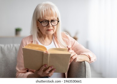 Portrait of focused mature woman trying to read paper book, squinting to see more clearly, wearing glasses, having difficulties seeing text because of vision problems, free copy space