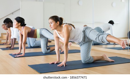 Strong Beautiful Athletic Fitness Couple Workout Stock Photo (Edit Now ...