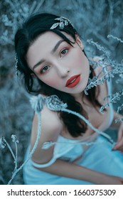 Portrait Of Forest Princess With Long Black Hair In Winter Nature. Hairstyle Decorated Tiara. Girl In Blue Sexy Dress Evening Makeup Natural Cosmetics Red Lips Brown Eyes. Backdrop Icy Grass Hoarfrost