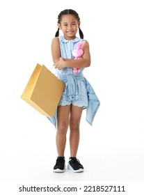 Portrait Full Body Studio Cutout Shot Asian Young Pigtail Braid Hair Shopper Girl In Blue Dress Standing Smiling Holding Pink Rabbit Doll And Paper Shopping Bag Look At Camera On White Background.