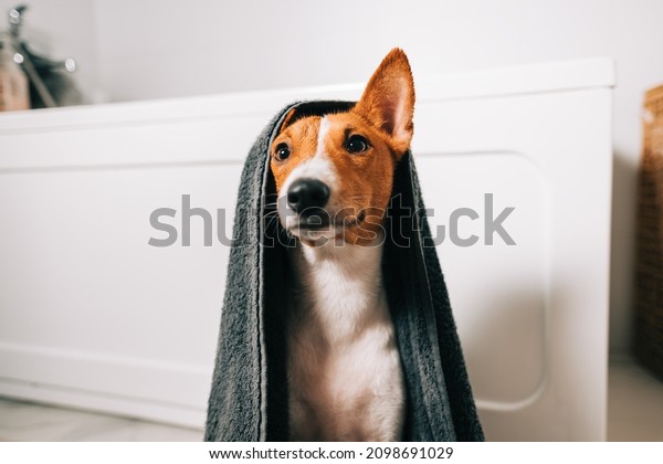 Besenji Towel