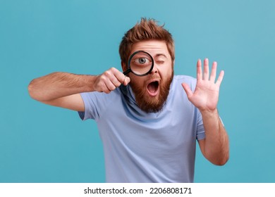 Portrait of funny bearded man holding magnifying glass and looking at camera with big zoom eye, curious face, waving hand, saying hi. Indoor studio shot isolated on blue background.