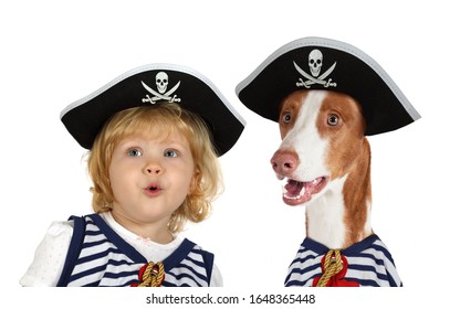 Portrait of a funny little girl in a pirate hat and Ibizan Hound (Podenco ibicenco) dog in the studio. Isolated on a white background