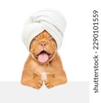 Portrait of a funny puppy with towel on it head looks above empty white banner. isolated on white background