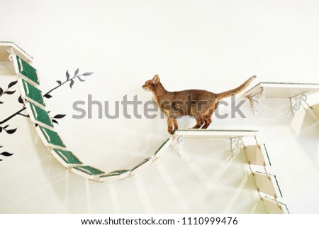 Similar – Image, Stock Photo of mice and humans.