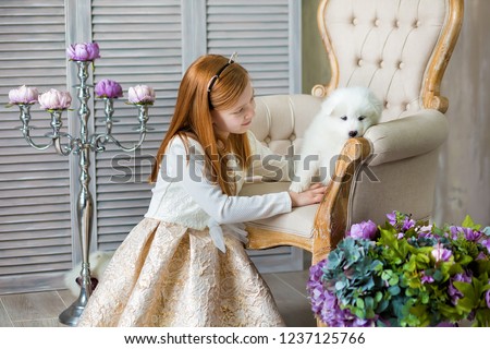 Portrait of ginger hair girl play with husky poppy.Model girl with red hair posing in studio shoot with sammy white puppy while sitting on royal retro armchair wearing cute dress