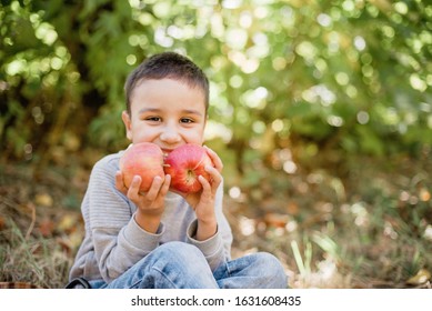 portrait of girl eating red organic apple outdoor. Harvest Concept. Child picking apples on farm in autumn. Children and Ecology. Healthy nutrition Garden Food. Boy holding in front of his face apple