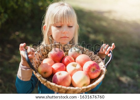 Similar – Image, Stock Photo Little girl looking apples in basket with harvest