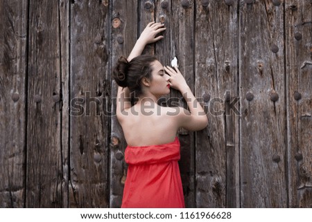 Similar – Portrait of a girl in red dress on a wooden door