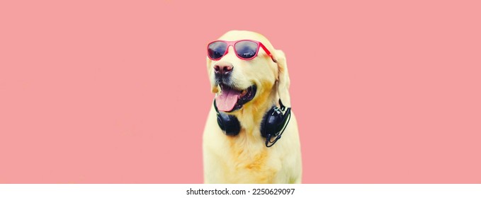 Portrait of Golden Retriever dog with headphones listens to music in red sunglasses on pink background - Powered by Shutterstock