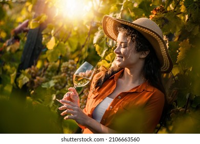 Portrait of a gorgeous woman tasting wine in the vineyards.