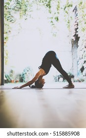 Portrait of gorgeous young woman practicing yoga indoor. Beautiful girl practice adkho-mukkha-shvanasana in a training hall.Calmness and relax, female happiness concept.Vertical, blurred background - Shutterstock ID 515885908