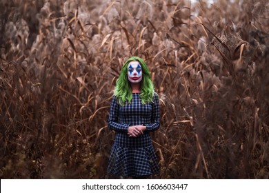 Joker Girl Makeup Images Stock Photos Vectors Shutterstock