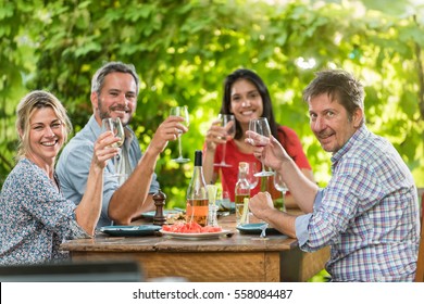 Portrait of a group of friends sitting on a terrace in the summer to share a meal, they  toast to the camera with their glasses - Powered by Shutterstock