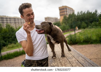 Portrait Of A Guy And His Dog, At The Playground For Dog Training. Gives The Dog A Small Bone