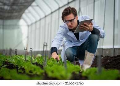 Portrait Handsome Agricultural Researcher Holding Tablet Stock Photo ...