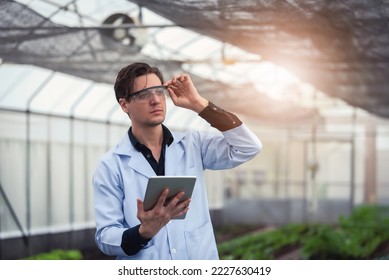 Portrait of handsome agricultural researcher holding tablet while working on research at plantation in industrial greenhouse - Shutterstock ID 2227630419