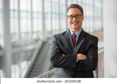 Portrait of a handsome CEO smiling 