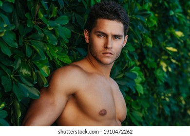 Male Shirtless Gardeners Images Stock Photos Vectors Shutterstock