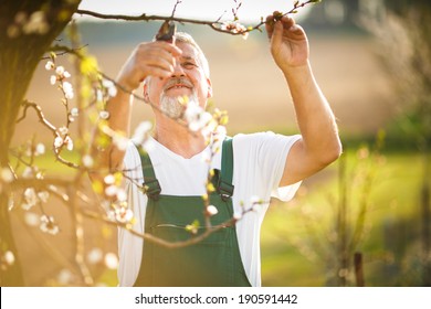 4,826 Grandpa gardening Images, Stock Photos & Vectors | Shutterstock