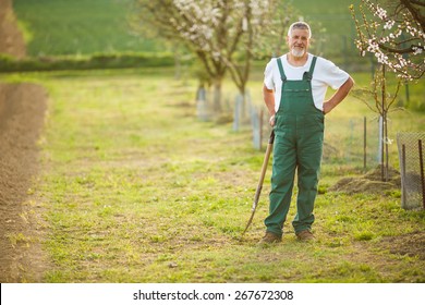 Portrait of a handsome senior man gardening in his garden, on a lovely spring day (color toned image) - Powered by Shutterstock