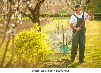 Portrait of a handsome senior man gardening in his garden, on a lovely spring day (color toned image) - Powered by Shutterstock