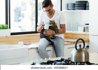 Portrait of handsome young man playing with cat in the kitchen. - Powered by Shutterstock