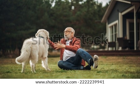 Portrait of a Happy Adult Man Enjoying Time Outdoors with a Pet Golden Retriever, Petting a Playful Dog. Cheerful Senior Male Enjoying Leisure Time in a Garden Lawn in Front of the House.