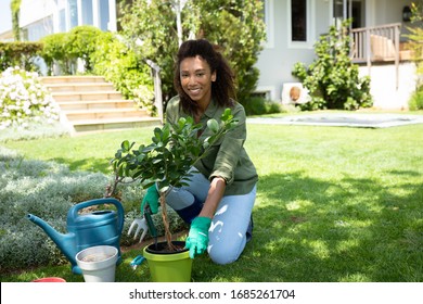 Portrait of a happy African American woman in the garden, potting a plant and smiling to camera. Social distancing and self isolation in quarantine lockdown for Coronavirus Covid19