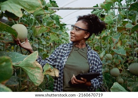 Image, Stock Photo Greenhouse Market garden
