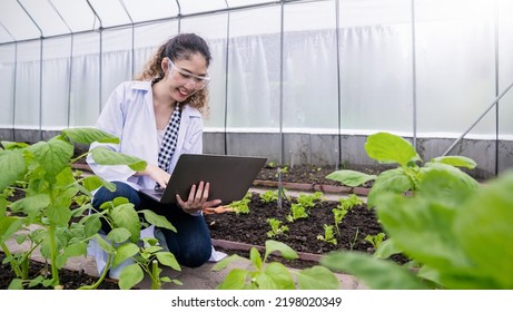 Portrait of happy agricultural engineer asian woman working in greenhouse organic farm, startup small business sme owner. Young scientists examined the quality of vegetable plant. - Powered by Shutterstock