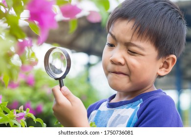 Portrait Of Happy Asian Child Boy Holding And Looking With Magnifying Glass On The Flower Tree And Green Grass Field Floor. Adventure, Explorer And Learning Kid. Childhood 5-6 Years Old.