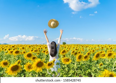 23,704 Sunflower fields thailand Images, Stock Photos & Vectors ...