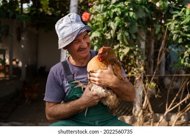 Portrait Of Happy Caucasian Farmer Holding A Brown Hen Outdoor. Smiling Mature Man With Chicken In Hand With Copy Space.