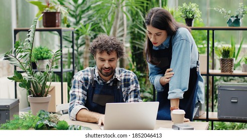 Portrait Of Happy Caucasian Male And Female Florists Flower Store Owners Working And Doing Inventory. Man Typing On Laptop At Desk In Floral Shop And Talking To Woman Boss. Business Concept