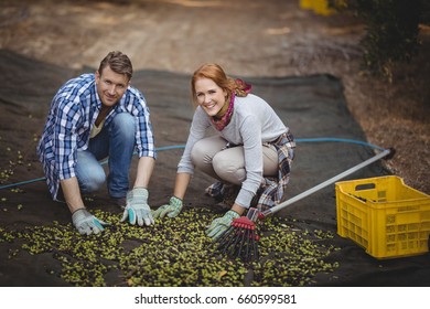 Portrait of happy couple working at olive farm - Powered by Shutterstock