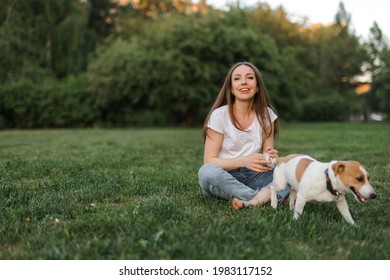 Portrait Of A Happy And Crazy Jack Russell Terrier Dog. Smooth Coat Of Red Color. A Girl With Brown Hair In Jeans And A T-shirt Is Playing With A Dog. Cute And Beautiful Dog Has Fun Outdoors.