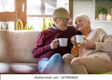 Porträt eines glücklichen älteren Ehepaares, das sich zu Hause auf dem Sofa entspannt
