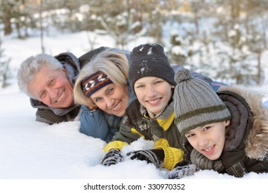 Portrait of a happy family in winter snowy park