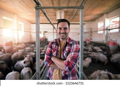 Portrait of happy farmer with crossed arms standing in pigpen taking care of pigs domestic animals.