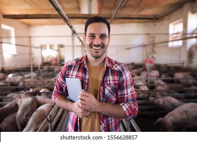 Portrait Of Happy Farmer With Tablet Standing At Pig Pen In Front Of Group Of Pigs Domestic Animals.