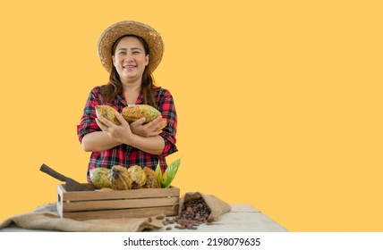 Portrait Of Happy Farmer Woman Standing Holding Fresh Cacao Fruit And Looking At Camera With Isolated On Yellow Background. Smiling Asian Female Gardener With Cocoa Beans And Cacao Pods On The Table.