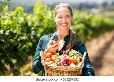 Portrait of happy female farmer holding a basket of vegetables in the vineyard - Powered by Shutterstock