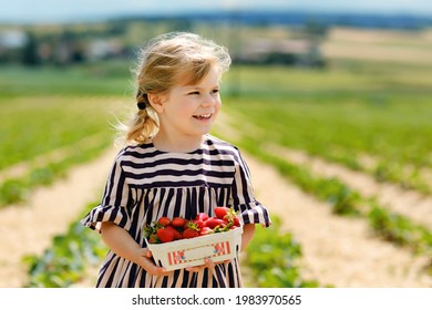 Portrait of happy little toddler girl picking and eating healthy strawberries on organic berry farm in summer, on sunny day. Smiling child. Kid on strawberry plantation field, ripe red berries. - Powered by Shutterstock