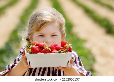 Portrait of happy little toddler girl picking and eating healthy strawberries on organic berry farm in summer, on sunny day. Smiling child. Kid on strawberry plantation field, ripe red berries. - Powered by Shutterstock