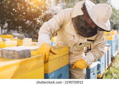 Portrait of a happy male beekeeper working in an apiary near beehives with bees. Collect honey. Beekeeper on apiary. Beekeeping concept. - Powered by Shutterstock