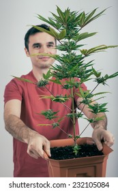 Portrait Of Happy Man Holding Cannabis Plant In Flowerpot.