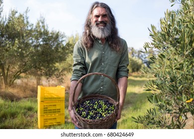 Portrait of happy man holding harvested olives in basket on a sunny day - Powered by Shutterstock