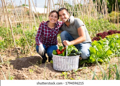 Portrait Of Happy Married Couple With Crop Of Vegetables On Farm